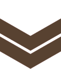 e6_125px_brown.png