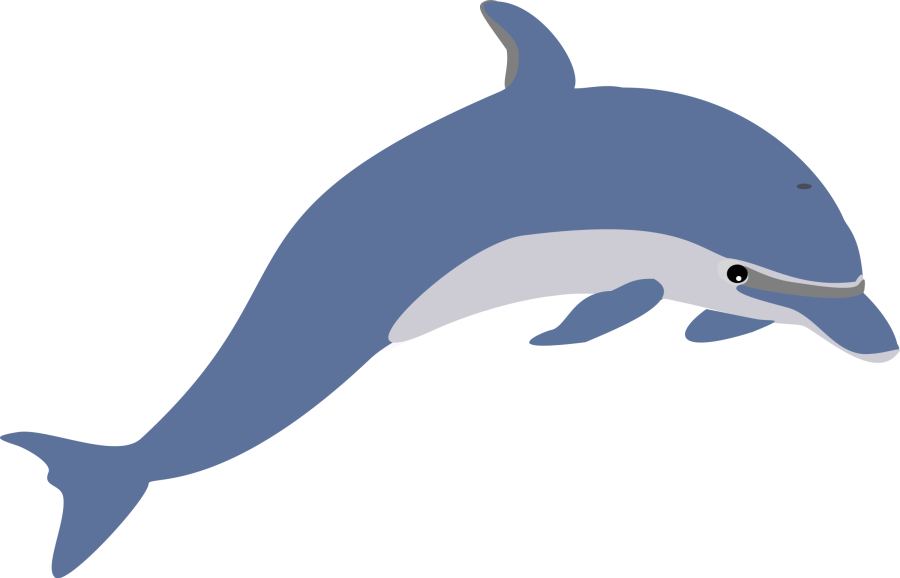 dolphin_by_emeza.png