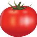 tomato-by-rones-800px.png