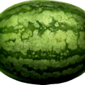 watermelon_3.png
