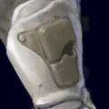 holster.png