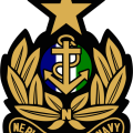 nepleslian_star_navy_insignia.png