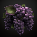 ainu_grapes.png