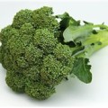 calabrese_broccoli.jpg