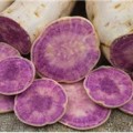 okinawan_purple_sweet_potato.jpg