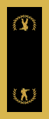 navy_commander.png