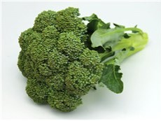 calabrese_broccoli.jpg