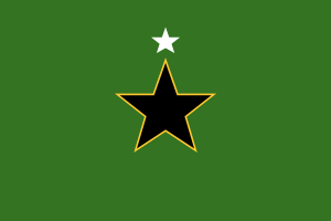 nsmc_rank_flag_1_star.png