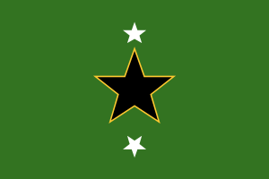 nsmc_rank_flag_2_stars.png