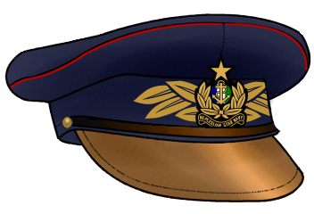 nsn_officer_cap_ye_36_warrant.png