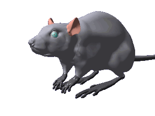 rodent.png