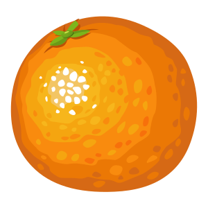 food-orange-300px.png