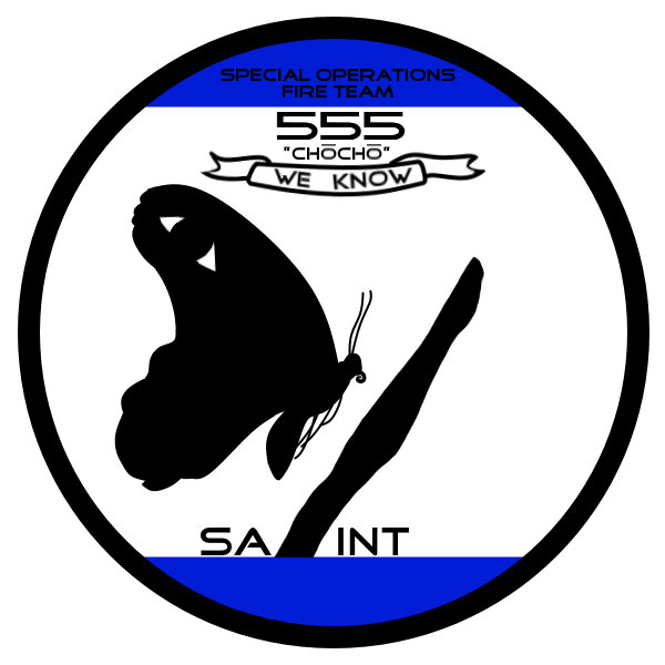 soft_555_logo.png