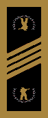 NSN Chief Petty Officer's Rank Bar