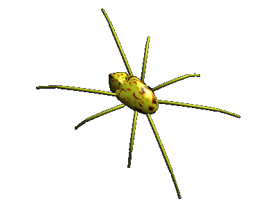Ke-O9-3a Spider