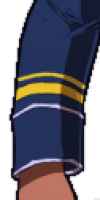 Officer sleeve rank