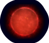 Red Dwarf Star