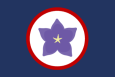 Flag of the Yamatai Star Empire