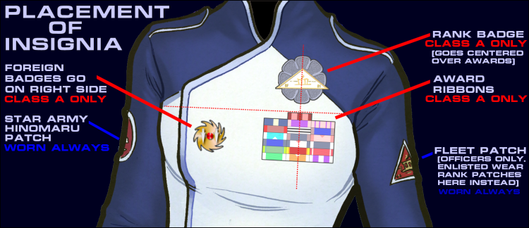 Insignia Placement